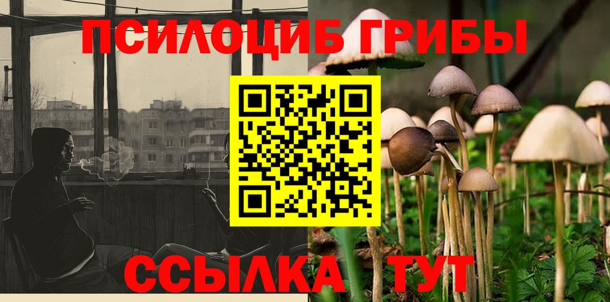 Галлюциногенные грибы Psilocybine cubensis  Вход с VPN  сколько стоит  Галлюциногенные грибы Psilocybe  Белорецк 